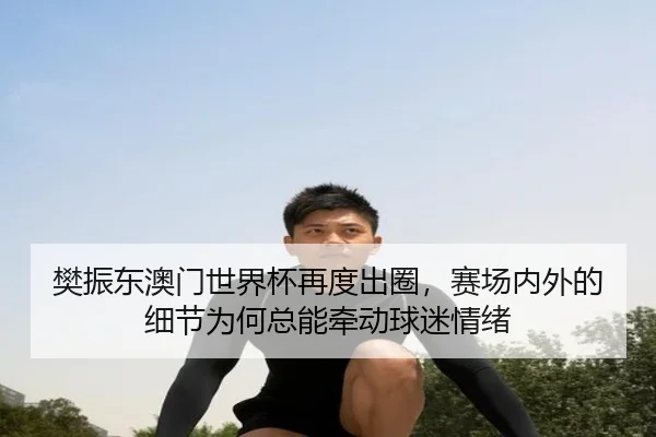樊振东澳门世界杯再度出圈，赛场内外的细节为何总能牵动球迷情绪